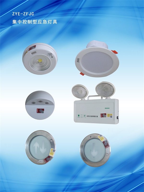 集中控制型灯具